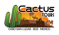 Cactus Tours